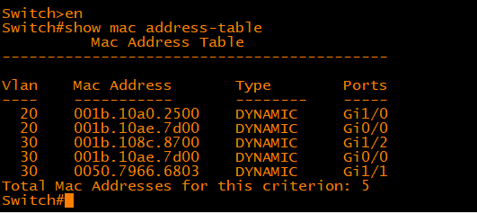 show mac address-table