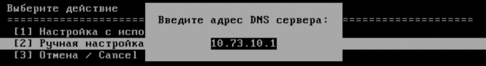 Настройка DNS MikoPBX