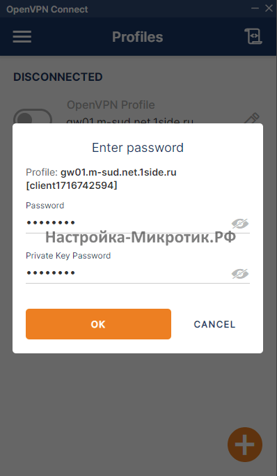 Пароль пользователя и пароль приватного ключа