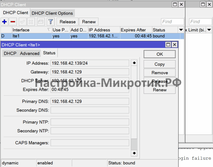 Быстрая настройка 4G LTE USB модема 9 IP > DHCP ClientПроверяем, что появился модем и он получает IP